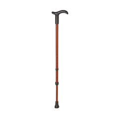 Rebotec Simplex â€“ Walking Stick with Derby Handle